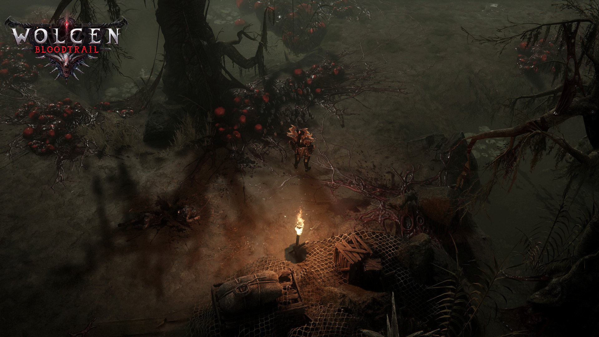 تصاویری از محیط بازی Wolcen Lords of Mayhem Bloodtrail